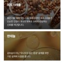 레드스퀘어 | 시카수 베이스 진정크림 솔직후기 더마스퀘어 레드스킵 크림