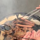 스테이해늘 이미지