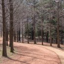 황토메타길 이미지