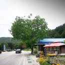 허브아일랜드민박 이미지