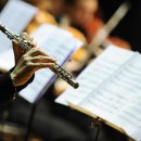 플루트 1:1 개인레슨 이미지