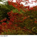 풍경의 바다 이미지