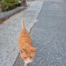 고색충전소 이미지