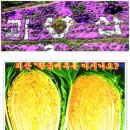 괴산군쓰레기종합처리장 이미지