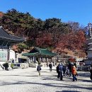 은행나무공인중개사사무소 이미지