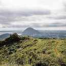 제주의 사색 이미지