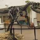 알로사우루스 이미지