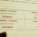 dental sound가 이미지