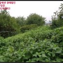 진관2리 마을회관 이미지