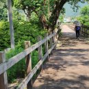 장평리 - 금악리 이미지