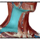 만수K정형외과의원 이미지