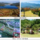 팔공산국립공원 갓바위야영장 이미지