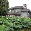 밀양연극촌관광안내소 이미지