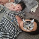 그림으로 말해요 아이마음읽기 | [슬베베] 슬립베러베이비 읽기자료로 수면교육 졸업한 후기