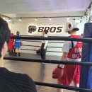 브로스 복싱 이미지