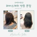 해오름아파트 (연동대림1차아파트방면) | [제주미용실] 새해 선물도주고 슬릭펌도 잘하는, 연동헤어스케치