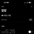 엔젤애견 이미지