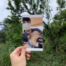 지에스25직산군동점 | 천안 유기견 보호소 &#39;포해피니스&#39; 첫 번째 봉사 후기!