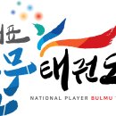 국가대표불무태권도 이미지