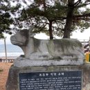 지영상회 이미지