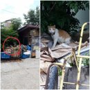 샘재로 이미지