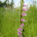 돌쇠농장 이미지