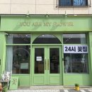 너는나의꽃
