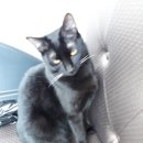 찬샘동물병원 이미지