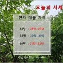 잠실주공5단지 6월13일 매매 시세 올립니다 - 특별한 재건축 투자 이미지