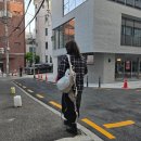내가 찾아간 찐으로 피오레 염색 내돈내산 후기