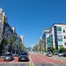 선부동 1082~선부동 1162 주변 | [임장] 성남시 분당구 임장기(4)-야탑/이매(feat. 매화마을 1단지, 분당재수학원, 분당차병원)