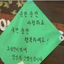 세이대전닥스숙녀 | 인생은 순간의 모음집