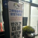 그루밍 솔루션 이미지