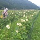 종생농장 네이버블로그