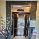 통영엘피스36오션뷰풀빌라펜션 | 통영 사량도 엘피스36 오션뷰 풀빌라 – 바다 위 힐링, 프라이빗 감성숙소 후기