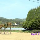 남선초교 이미지