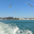 샛담민박 이미지