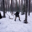 고립낙원 이미지