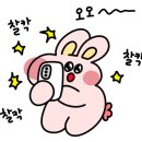 향기로운운동화세탁 이미지