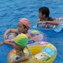 육림풀장 이미지