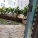 블루테라스 이미지