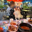 의왕 백운호수 강아지 동반 맛집, 캠핑 느낌 나는 야외 고기집 산앤들 후기