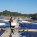 영심이네 이미지