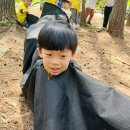 해오름 유아숲체험원 Daum카페