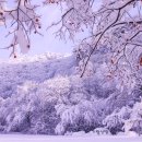 꿈의궁전 이미지