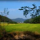 지천농장 이미지