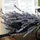 개정초등학교 이미지