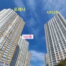 가호동34 네이버블로그