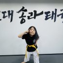 서희 태권도장 이미지