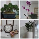 별내검도관 이미지